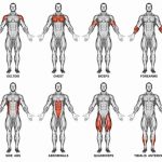 How to target specific muscle groups for growth